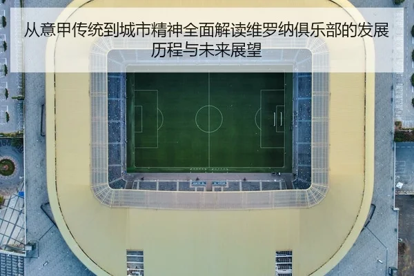 cong-yi-jia-chuan-tong-dao-cheng-shi-jing-shen-quan-mian-jie-du-wei-luo-na-ju-le-bu-de-fa-zhan-li-cheng-yu-wei-lai-zhan-3-478.jpg
