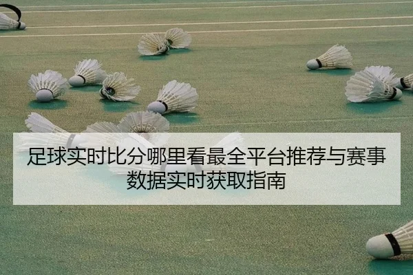 zu-qiu-shi-shi-bi-fen-na-li-kan-zui-quan-ping-tai-tui-jian-yu-sai-shi-shu-ju-shi-shi-huo-qu-zhi-nan-2-408.jpg