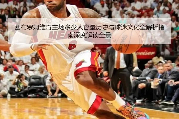 西布罗姆维奇主场多少人容量历史与球迷文化全解析指南深度解读全景