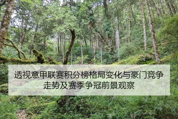 透视意甲联赛积分榜格局变化与豪门竞争走势及赛季争冠前景观察